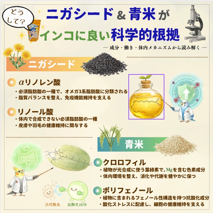 インコ用品wakunokiの商品