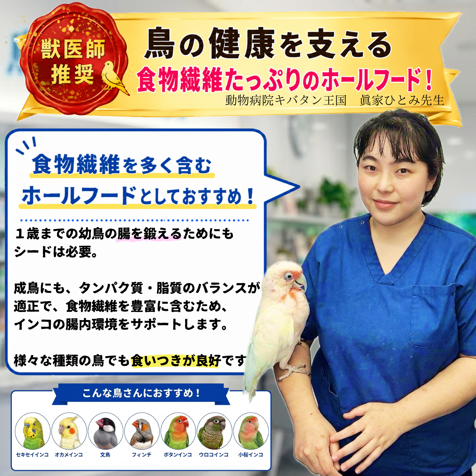 インコ用品wakunokiの商品