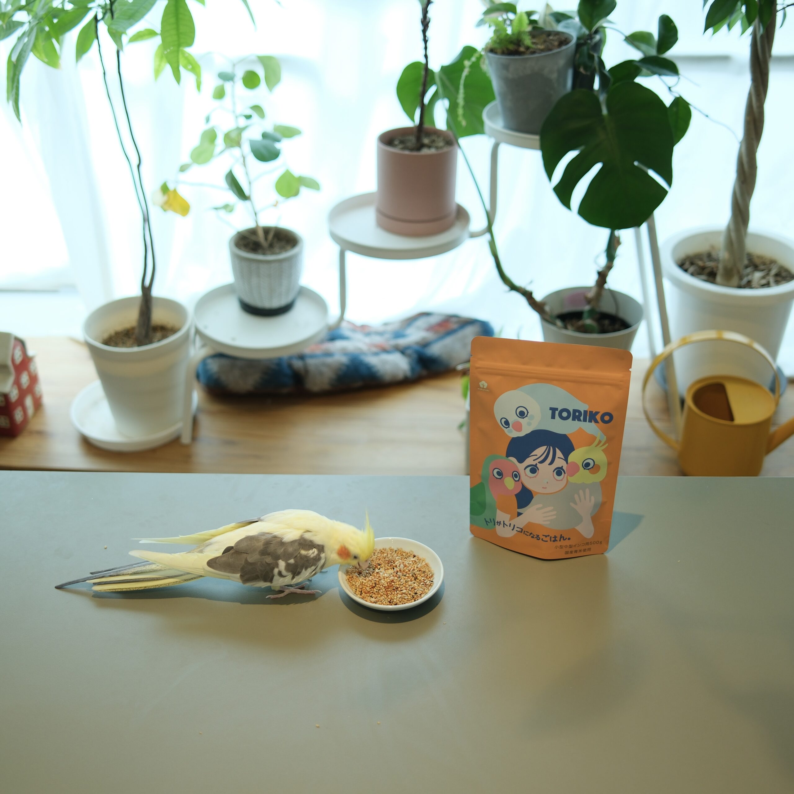 インコ用品wakunokiの商品