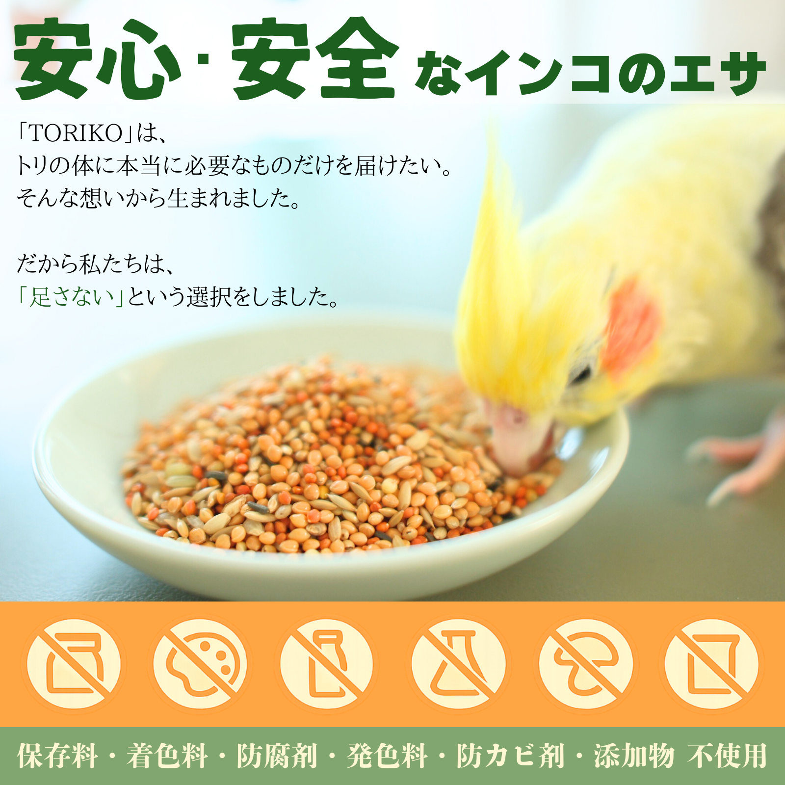 インコ用品wakunokiの商品
