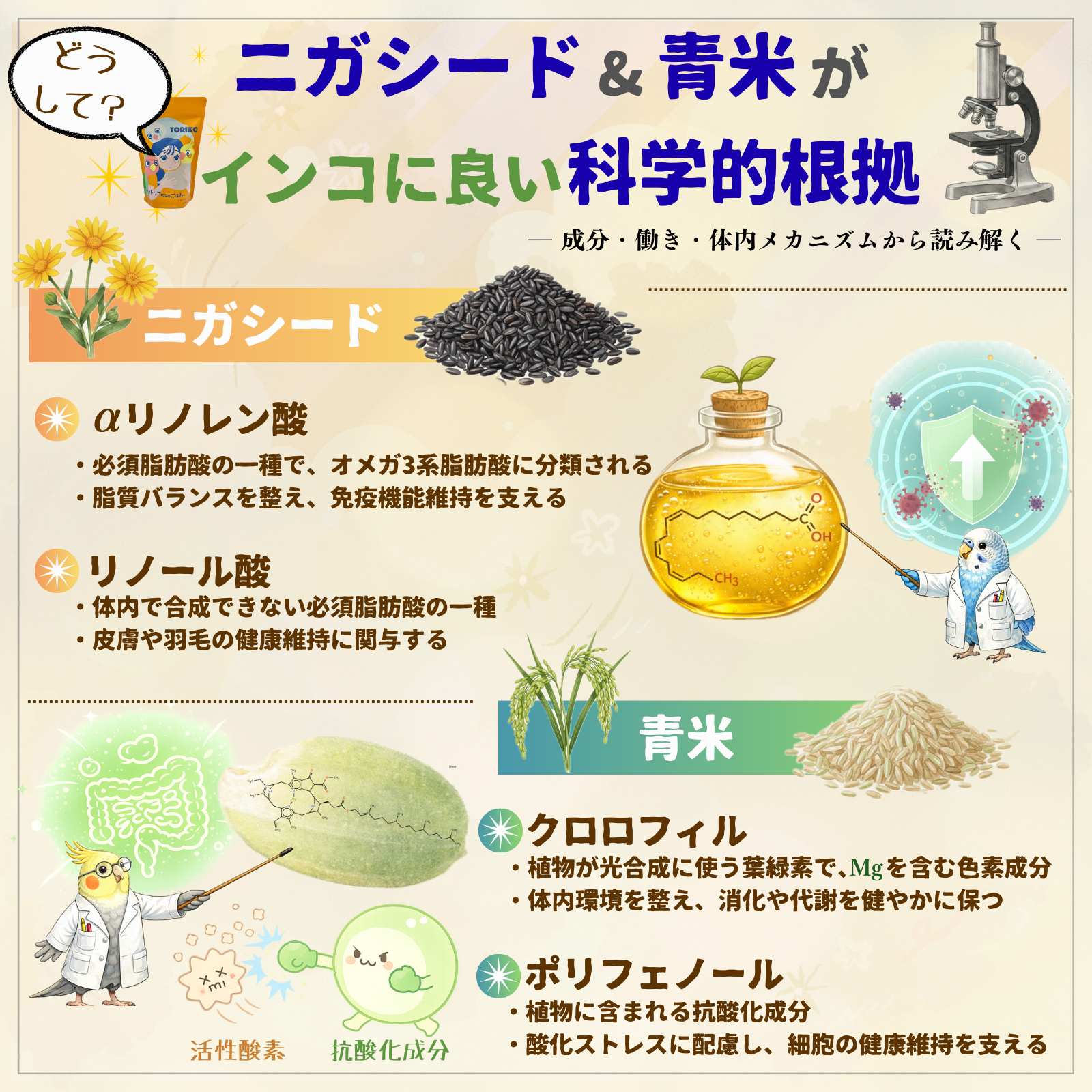 インコ用品wakunokiの商品