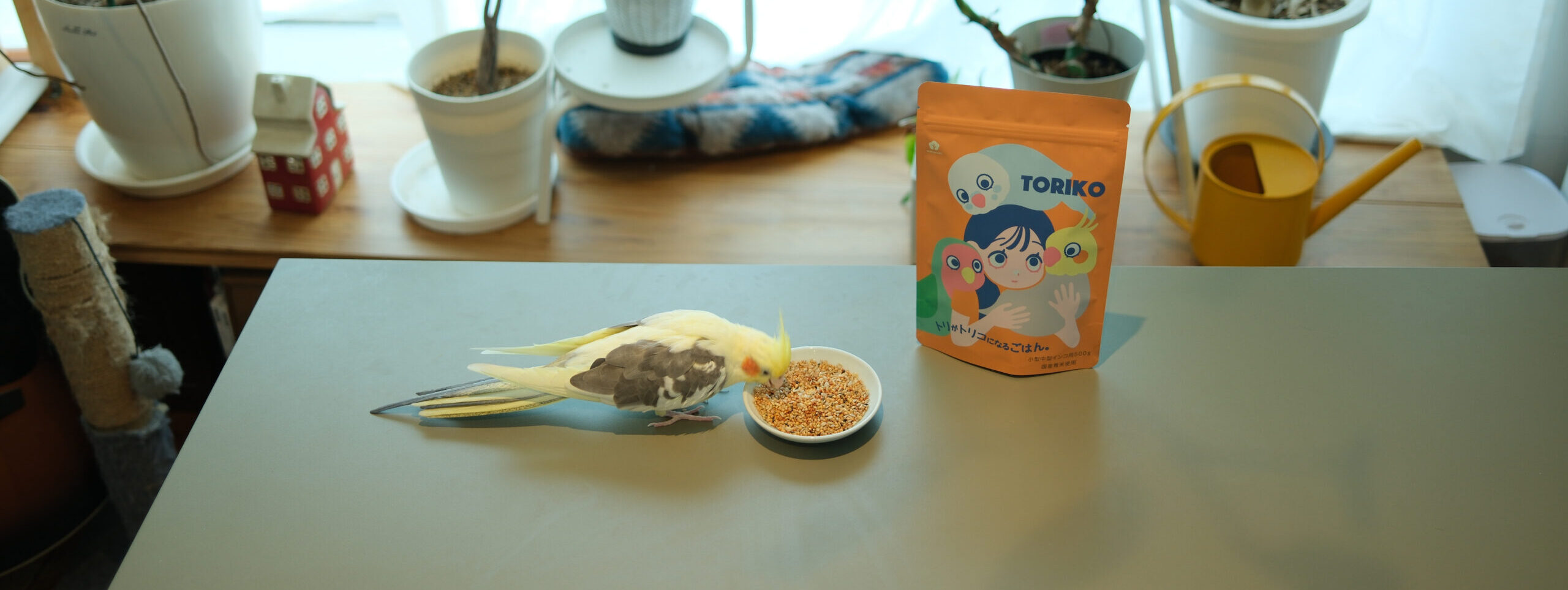 インコ用グッズの通販サイトwakunoki｜安心のペット用品専門店