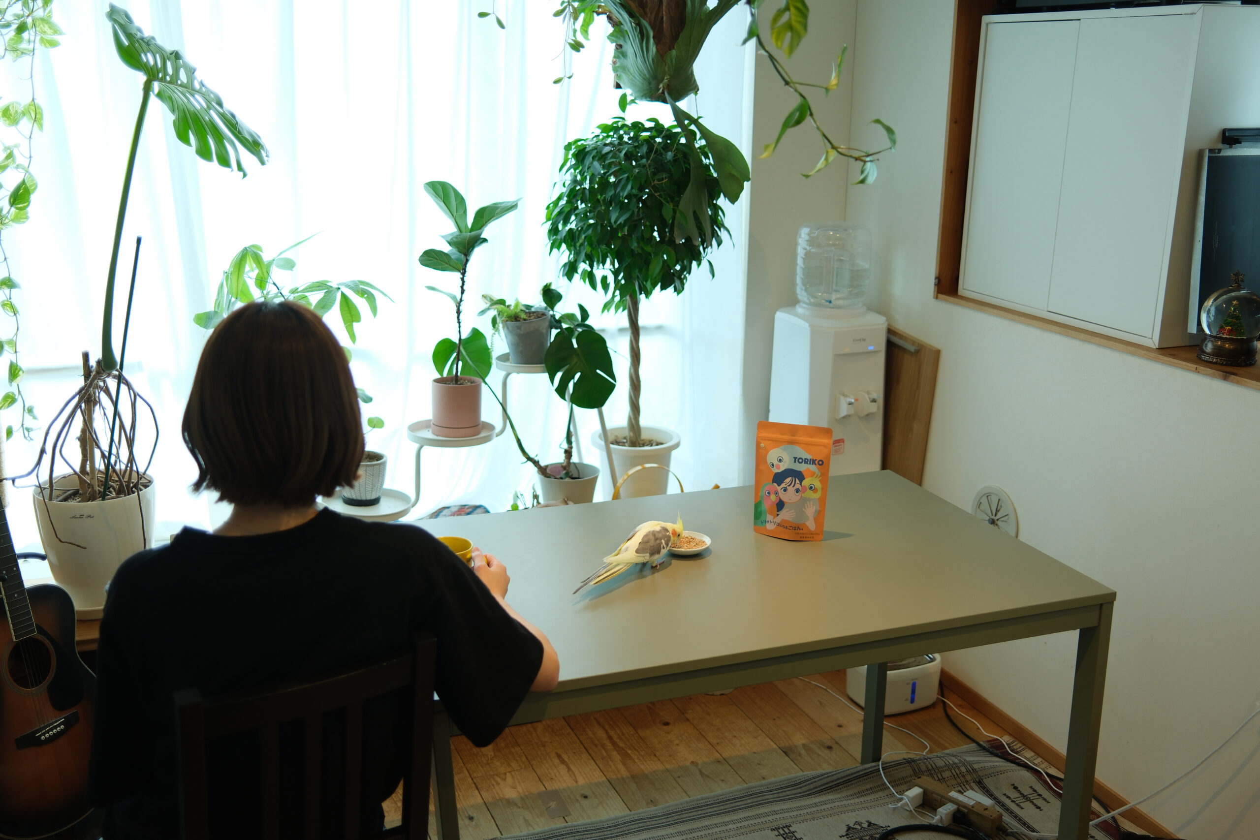 インコ用グッズの通販サイトwakunoki｜安心のペット用品専門店